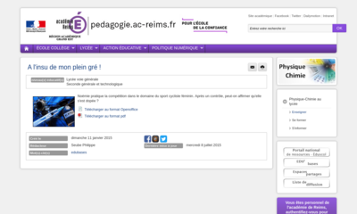 Image / vignette