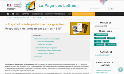 Image / vignette