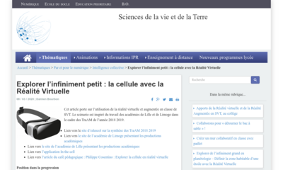 Image / vignette