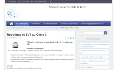 Image / vignette
