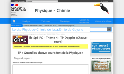 Image / vignette