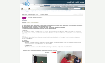Image / vignette