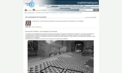 Image / vignette