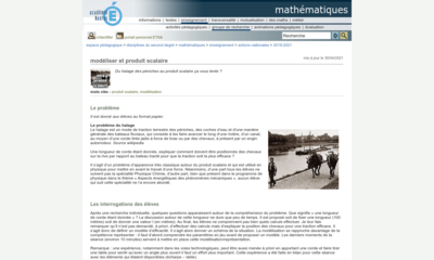 Image / vignette